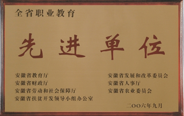 2006年12月，安徽新东方被评为“全省职业教育先进单位”