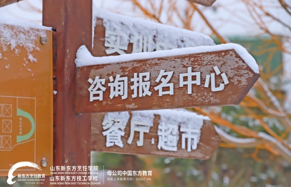 山东新东方雪景