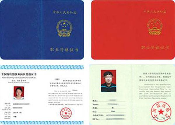初中生转学学厨师
