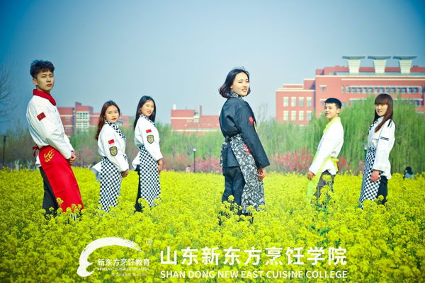 山东新东方学厨师