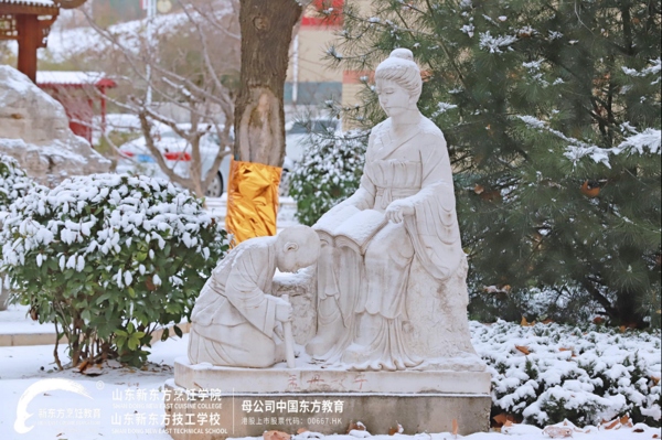 山东新东方雪景