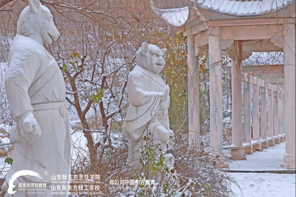 山东新东方雪景