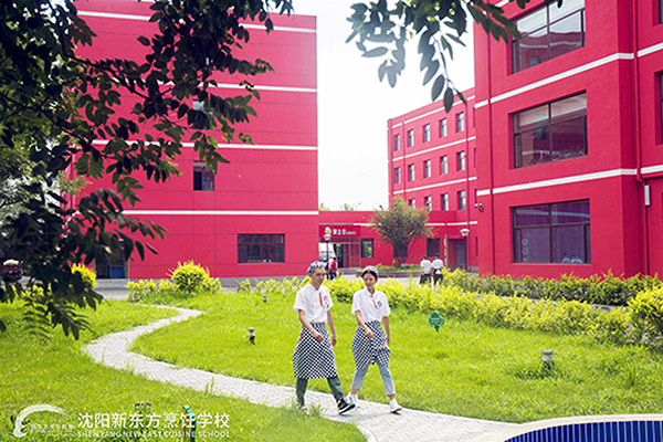 厨师培训